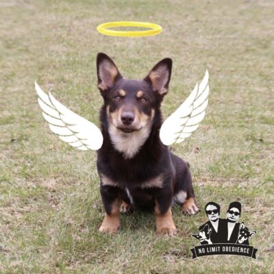 presentkort_angel