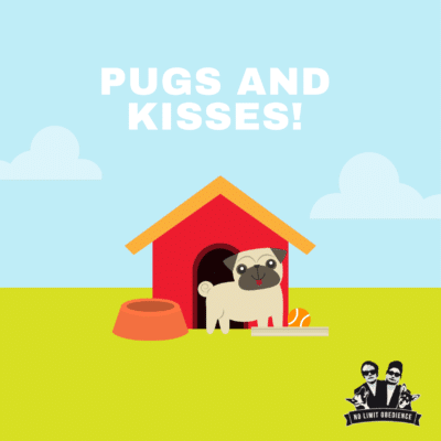presentkort_pug