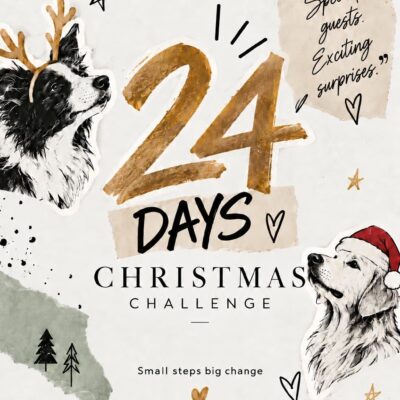 December challenge
